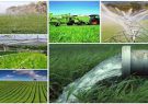 محصولات کشاورزی و غذایی آب بر مشمول عوارض صادراتی شد